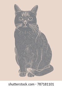 Hand drawn cat, vector illustration