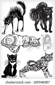 hand drawn cat vector set