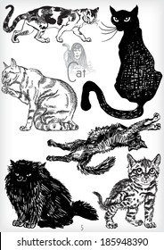 hand drawn cat vector set