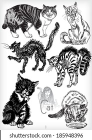 hand drawn cat vector set