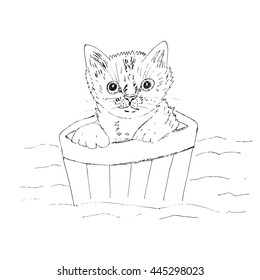 Hand drawn cat. Vector sketch illustration.
