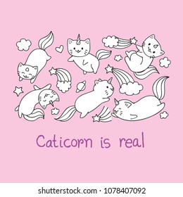 Hand drawn caticorns flying around with slogan caticorn is real for printed tee and print on other products. Vector illustration