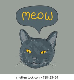 Hand drawn cat's face on gray background. Realistic sketch. Vector image.