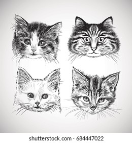 hand drawn cats head set