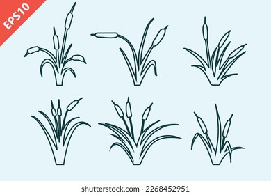 hand drawn cattail modern design vector illustration