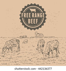 Hand drawn of cattle with free range beef label