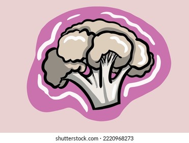 Hand drawn cauliflower vector icon.Cartoon vector icon isolated on background cauliflower.