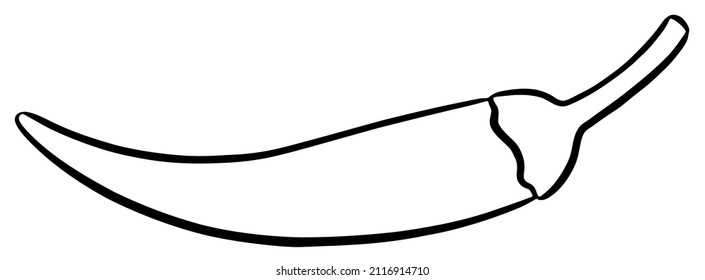 Hand drawn cayenne pepper illustration