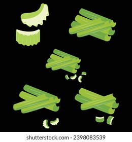 Hand drawn Celery slice illustration. Green vegetable on white background.