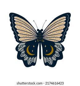 Hand drawn celestial butterfly or magical moth. Mystical insect 