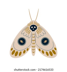 Hand drawn celestial butterfly or magical moth. Mystical insect 