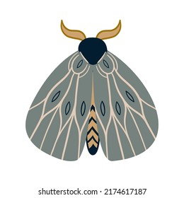 Hand drawn celestial butterfly or magical moth. Mystical insect 