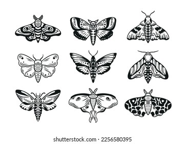 Hand drawn celestial moth collection. Flying beetles ink style graphics. Moth drawing set. Vector illustration.