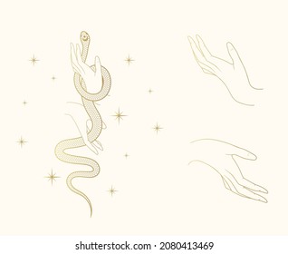 Hand drawn celestial set with stars, hands and snake. Golden spiritual vector illustration for witchcraft. Background for t-shirt design, fabric, covers and cards.