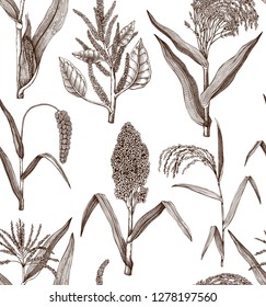Hand drawn cereal crops background. Gluten free plants seamless pattern. Vector vegetables drawing in engraved style. High detailed vegetarian food objects. Great for packaging, menu, label.