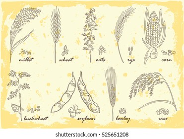 Hand drawn cereals