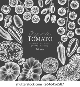 Hand Drawn Chalk Board Tomato Illustration. Retro Vegetable Vector Design Template. Old School Farm Food.