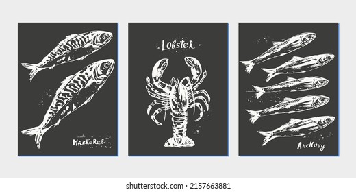 Hand drawn chalk seafood sketch, fish for menu background. Lobster, sardine, anchovy, mackerel, herring. Organic food fich market design.