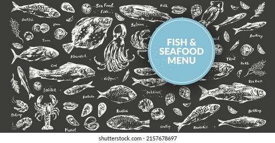 Hand drawn chalk seafood sketch, fish for menu background. Octopus, squid, lobster, crab, oyster, prawn, shrimp, mussel, salmon, tuna, dorado, trout, sardine, anchovy, flounder, mackerel, herring.