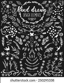 Hand drawn chalkboard design elements including laurels, wreaths, floral, leaves, birds, bugs and swirls.