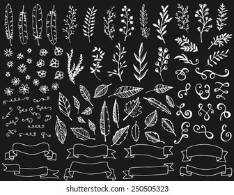 Hand drawn chalkboard design elements, feathers, leaves, banners, scrolls, swirls and flowers