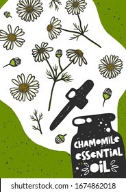 Estilo de boceto de aceite esencial con forma de manzana dibujada a mano. Aromaterapia, medicina popular y alternativa. Afiche de hierbas estilizadas de la margarita. Frasco con una pancarta de aceite grabado dibujo de la planta de flores. 