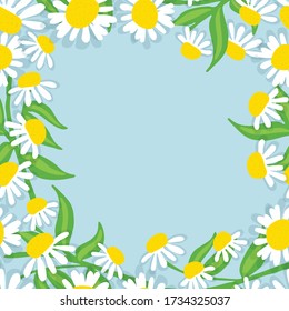 Hand drawn Chamomile flowers frame on blue background. Spring summer decor border. Vector illustration. Design element for invitations, greeting cards, cosmetic and other.