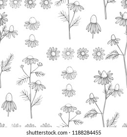 Hand drawn chamomile flowers on white background .Vector  seamless pattern