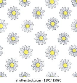 Hand drawn chamomile flowers on white background .Vector  seamless pattern