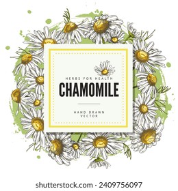Hand drawn chamomile flowers round frame with square text space. Sketch wild flowers background design. Engraved botanical vector illustration design for packaging, card, poster, cosmetics.