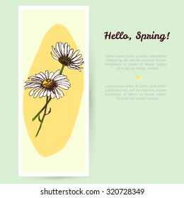 Hand drawn chamomile flowers. Vector illustration. Hello spring greeting card or invitation design