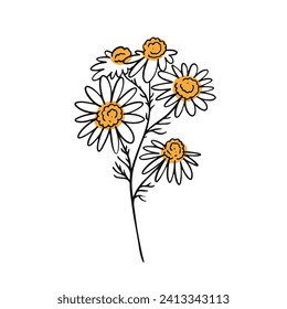 Hand drawn chamomile plant flower sign flat design vector illustration. Isolated on white background.