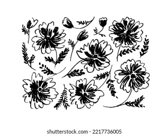 Hand drawn chamomiles or chrysanthemums vector elements. Pencil drawn flowers isolated on white background. Abstract spring flowers with stems, leaves and buds. Botanical elements in childish style.