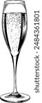 Hand drawn Champagne Glass Sketch Illustration