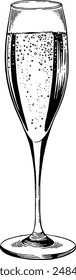 Hand drawn Champagne Glass Sketch Illustration