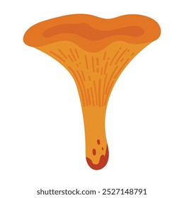 Ilustração de Cogumelo Chanterelle desenhada à mão isolada no fundo branco. Colheita Florestal de outono. Flora de outono