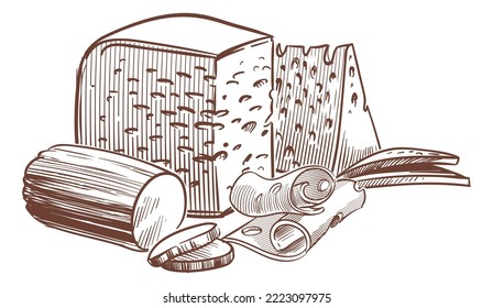 Hand drawn cheese. Art composition with cheeses. Whole and half of maasdam, gouda and parmesan. Different slices of farm milk products, food isolated elements, vector illustration