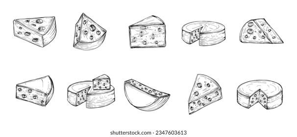 Hand Drawn Cheese Outline Illustration Vector Set