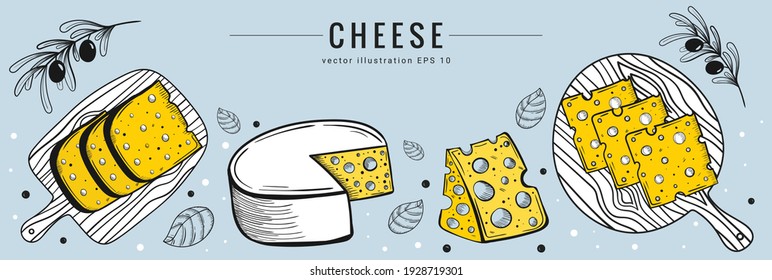 Hand drawn cheese set banner template. Sketch style, colorful illustration of different types of cheese with olives and basil. Light blue, yellow and white colors. Dairy products vector illustration.