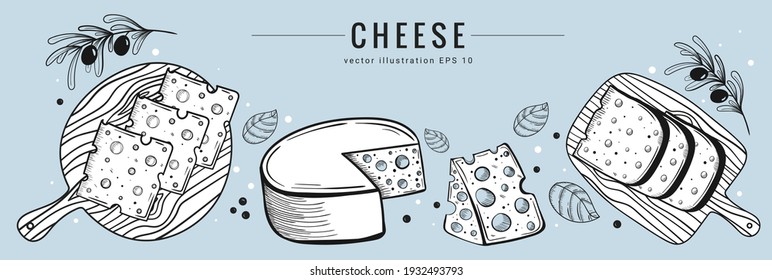 Hand drawn cheese set banner template. Sketch style, white and light blue colors, vector illustration of different types of cheese with olives and basil. Dairy products vector illustration.