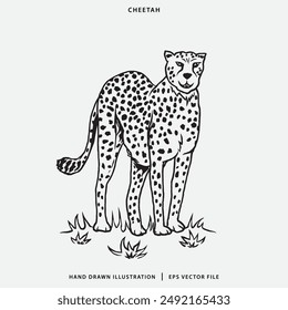 Hand Drawn Cheetah Illustration for Coloring Books and tattoos