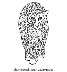 Hand Drawn Cheetah With Random Spots