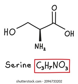 Hand drawn chemical molecular formula of amino acid serine in doodle style isolated.
