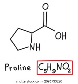 Hand drawn chemical molecular formula of amino acid Proline in doodle style isolated.