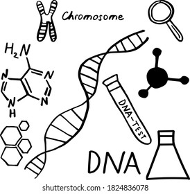 Equipo de química de mano. Estructura del ADN, elementos científicos, conjunto de doodles