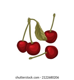 Cerezas dibujadas a mano aisladas en el fondo blanco.