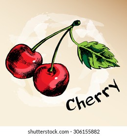Hand drawn cherries. Vector Illustration.
