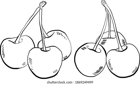 Hand Drawn Cherries Vector Illustrations in black and white