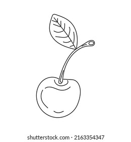 Hand drawn Cherry. berries logo or tattoo detailed. Doodle illustration organic Cherry isolated in white background. Vintage illustration for emblem