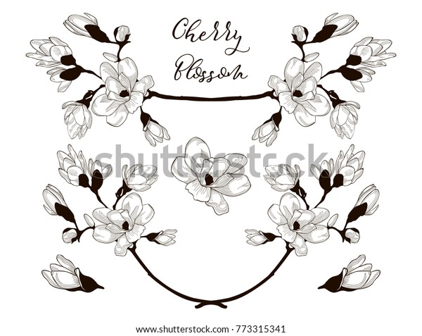 Hand\
Drawn Cherry Blossom Arrangements. Floral Decorative Design\
Elements. Dividers, Text Frames. Vector\
Illustration